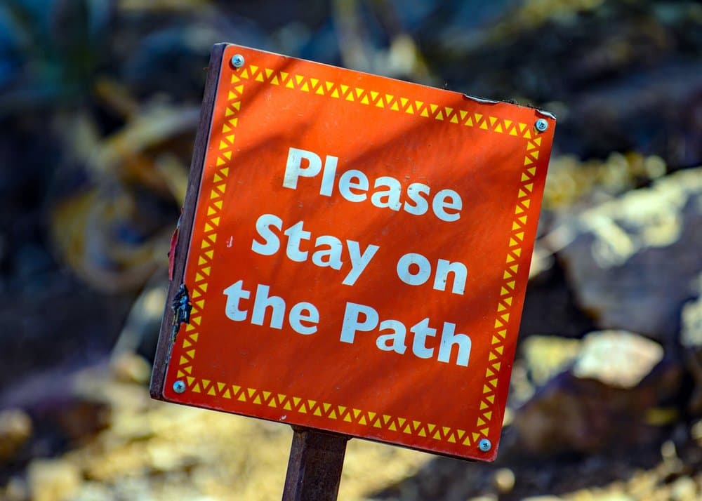 Conscious Divorce Rules of Engagement