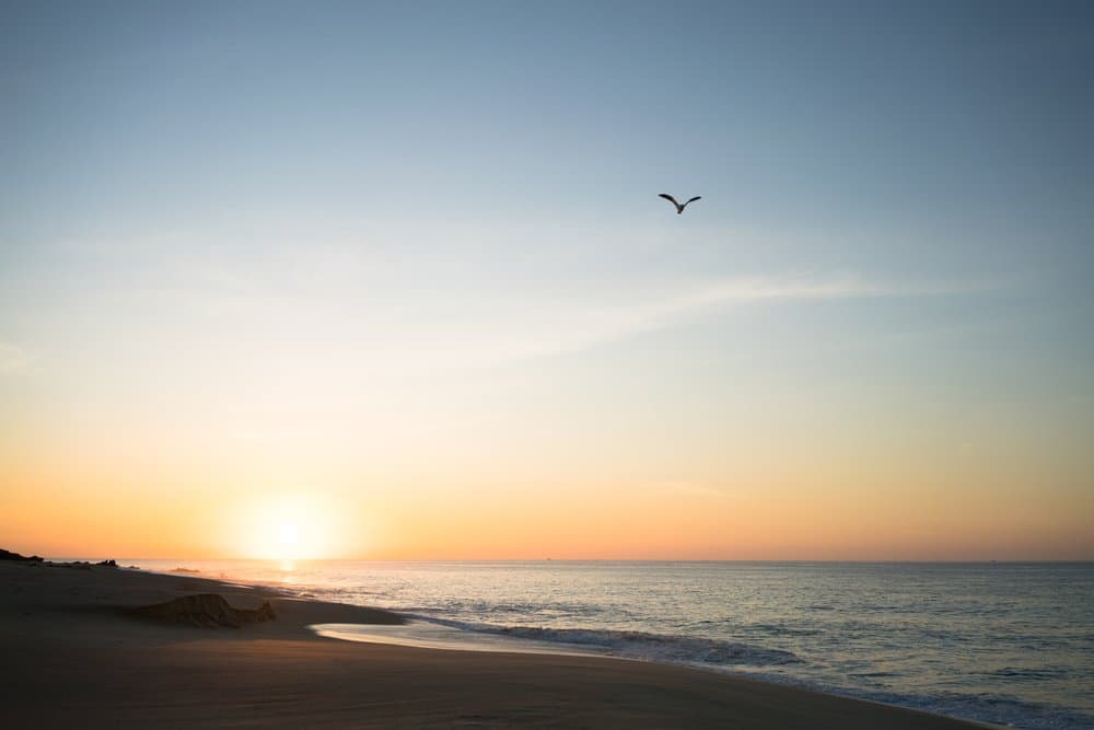 Take Care of Yourself: Tips for Navigating Fear and Uncertainty
