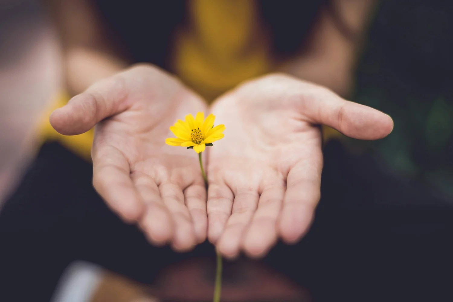 The Power of Being Vulnerable