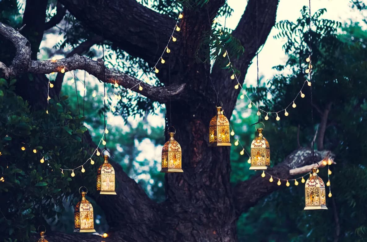 Lanterns and string lights glowing in an old tree at dusk